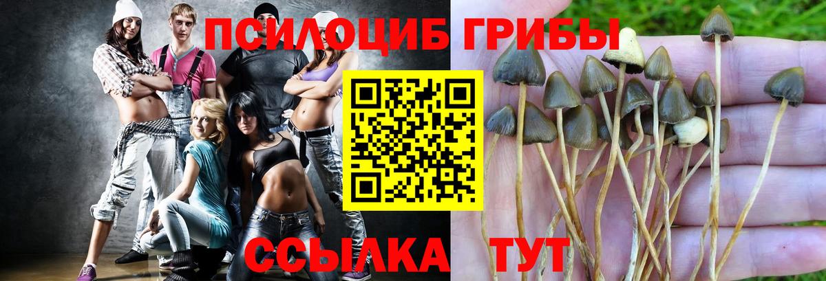 ТГК Димитровград