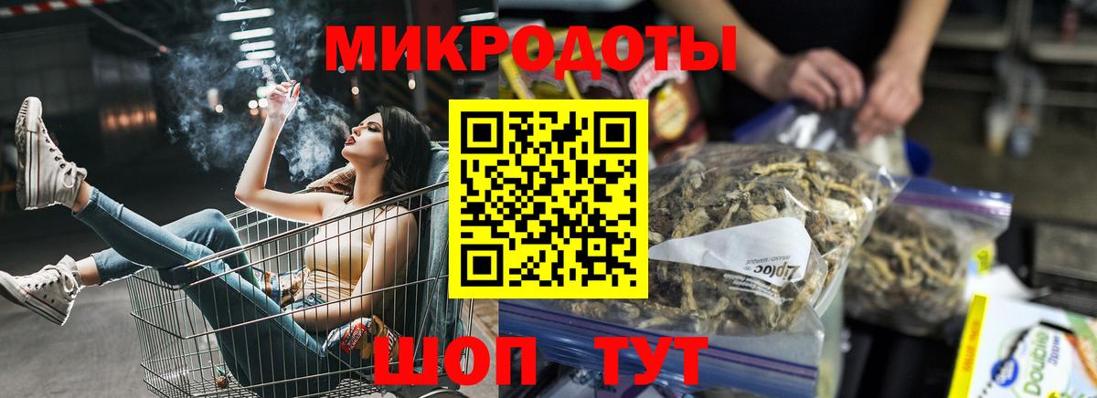 Галлюциногенные грибы Psilocybe Димитровград